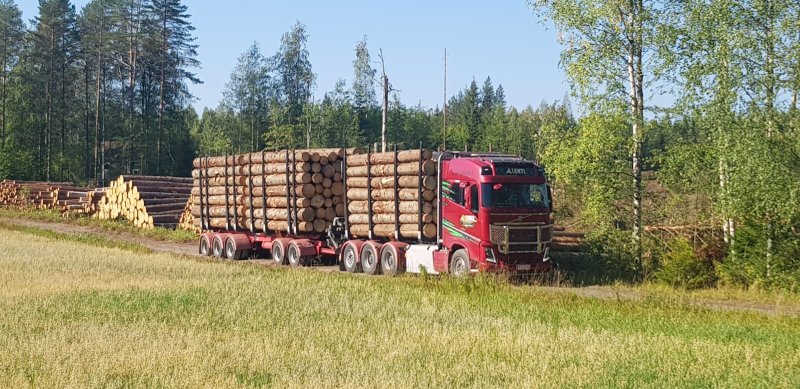 Kuljetus A. Lehti Oy kuljettaa puuta